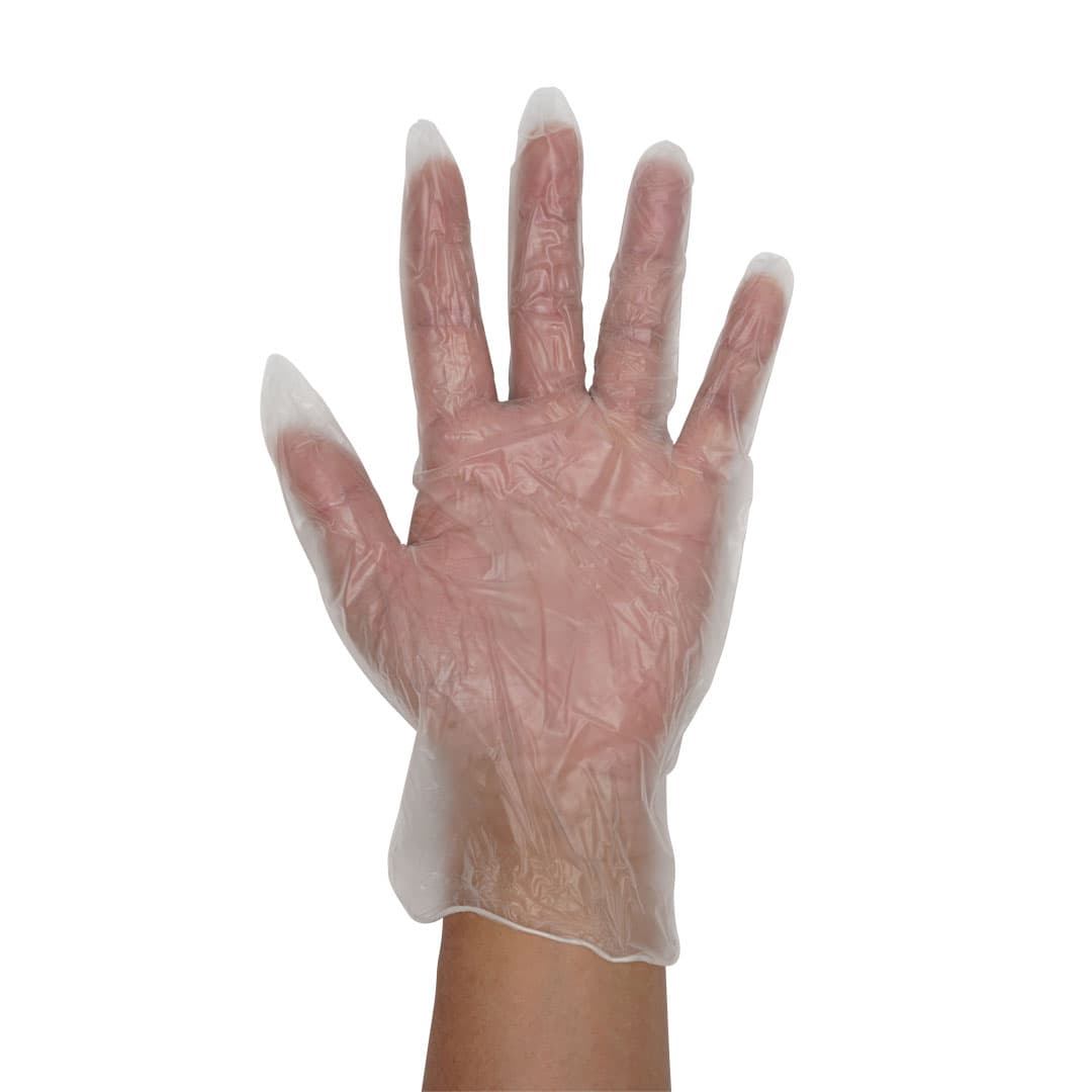 Vinyl Gloves – Powdered